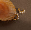 Pearl Ear Cuff- Earring